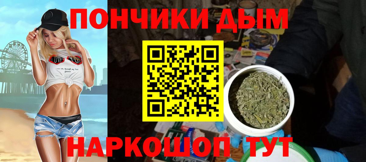 Конопля сатива Сергиев Посад